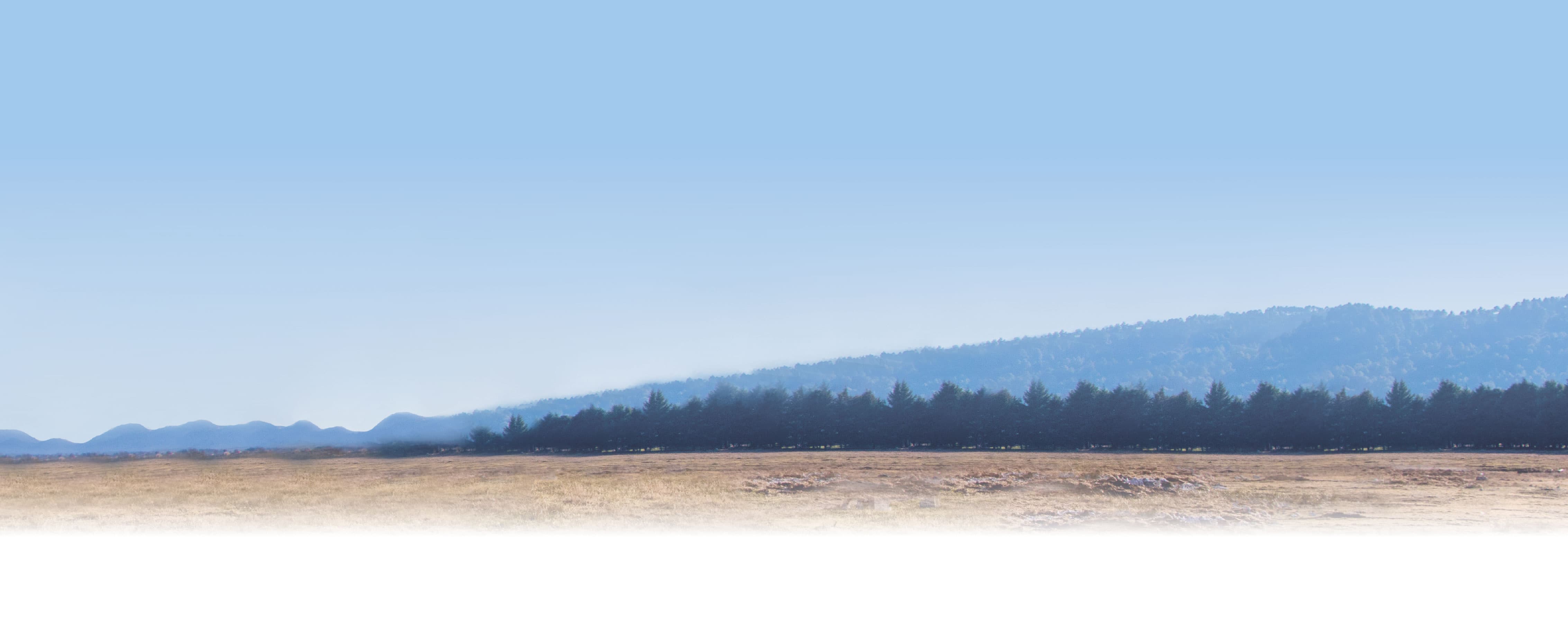 Oficinas Móviles Movilx